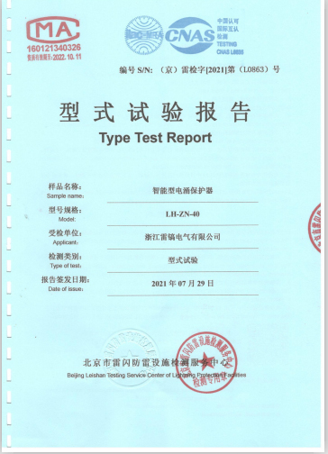 Smart surge type test report 01